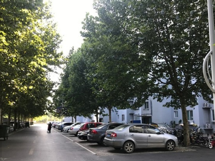 （2009年）鄒平一中翠微園1號、2號、6號樓鑒定